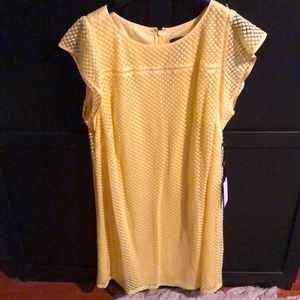 Adrianna Papell, lemon light, size 14